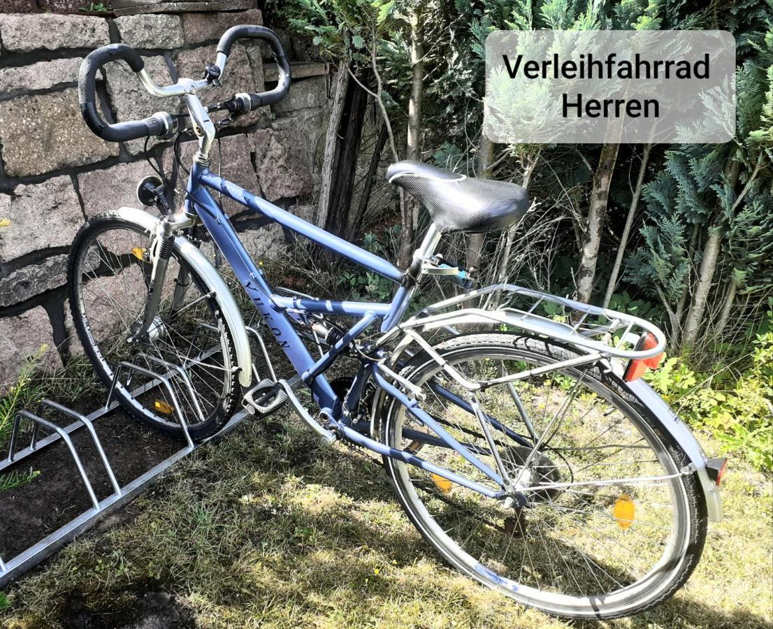 Talblick 2 - Ihr Zuhause : Das Ferienhaus Mitten Im Idyllischen Tal Bad Bibra Luaran gambar